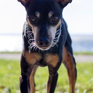 Meet your Posher, Cedric